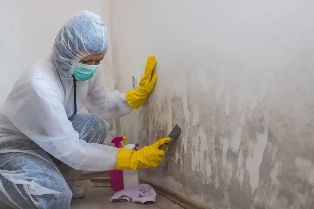 water damage restoration service Noblestown